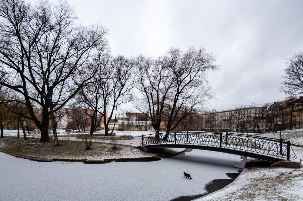 Photograph by Сергей Ларин