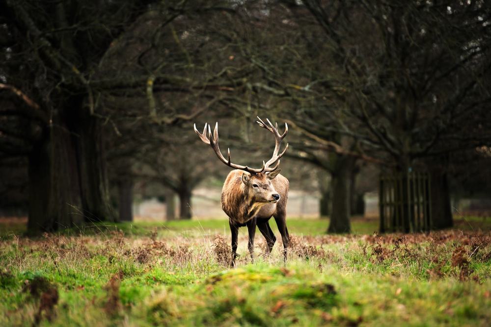 Photograph by CHRISTINE DE OLIVEIRA