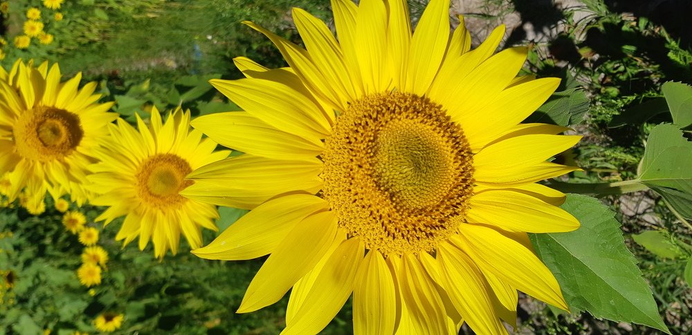 Photograph by Микола