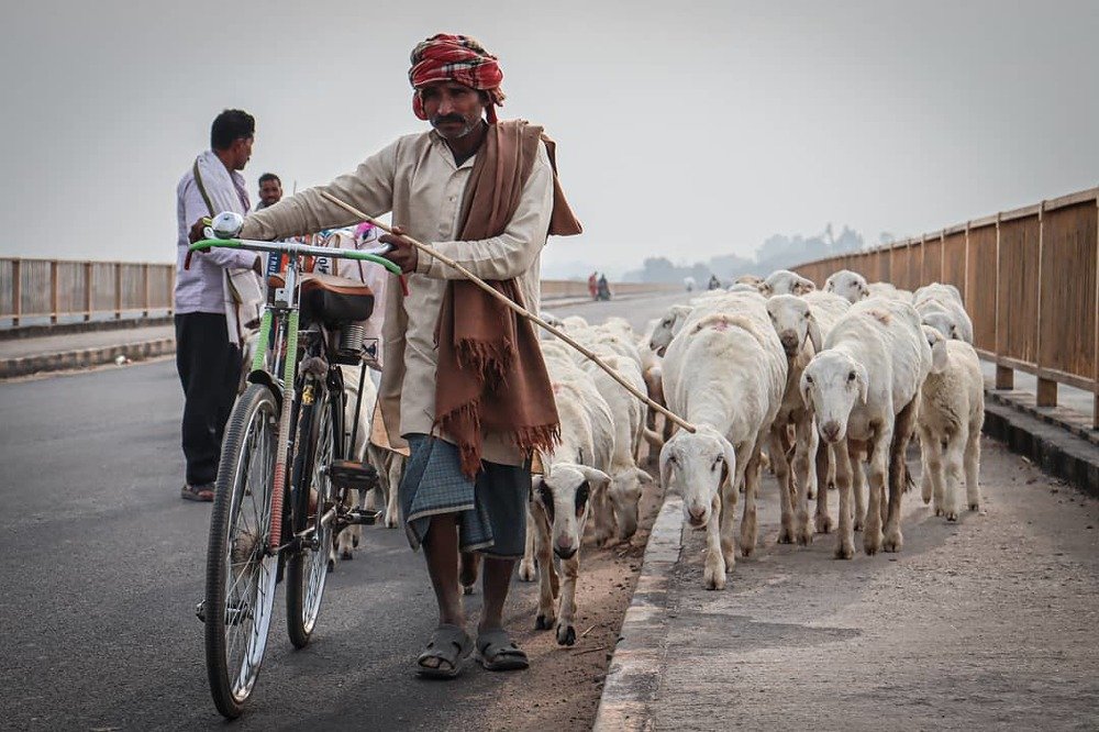 Photograph by Sandy Daniel