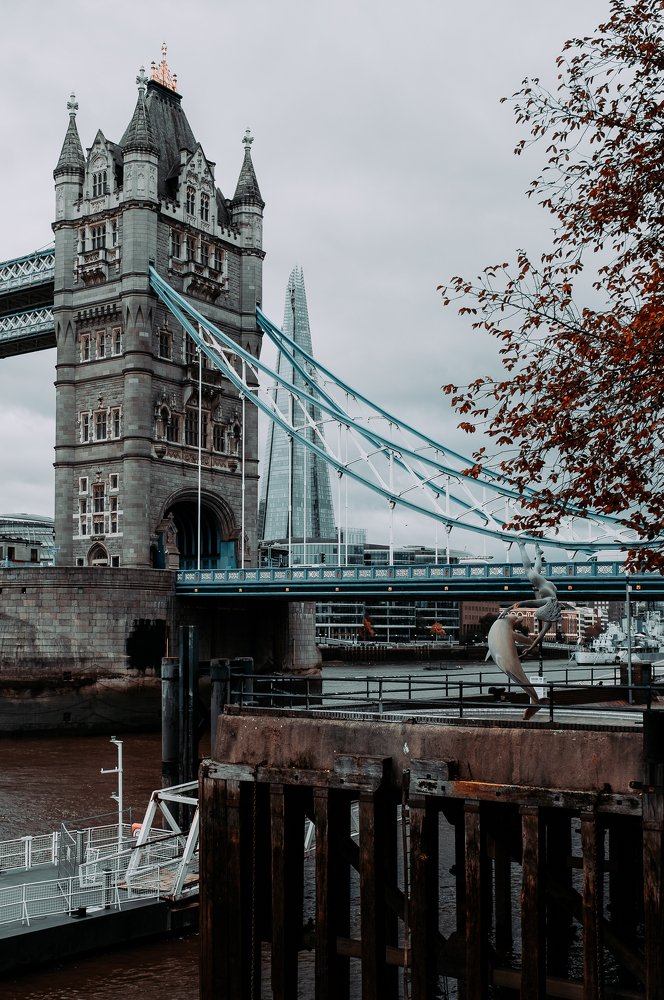 Photograph by Dumitru Boier