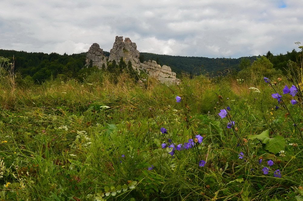 Photograph by Владимир Тертышник