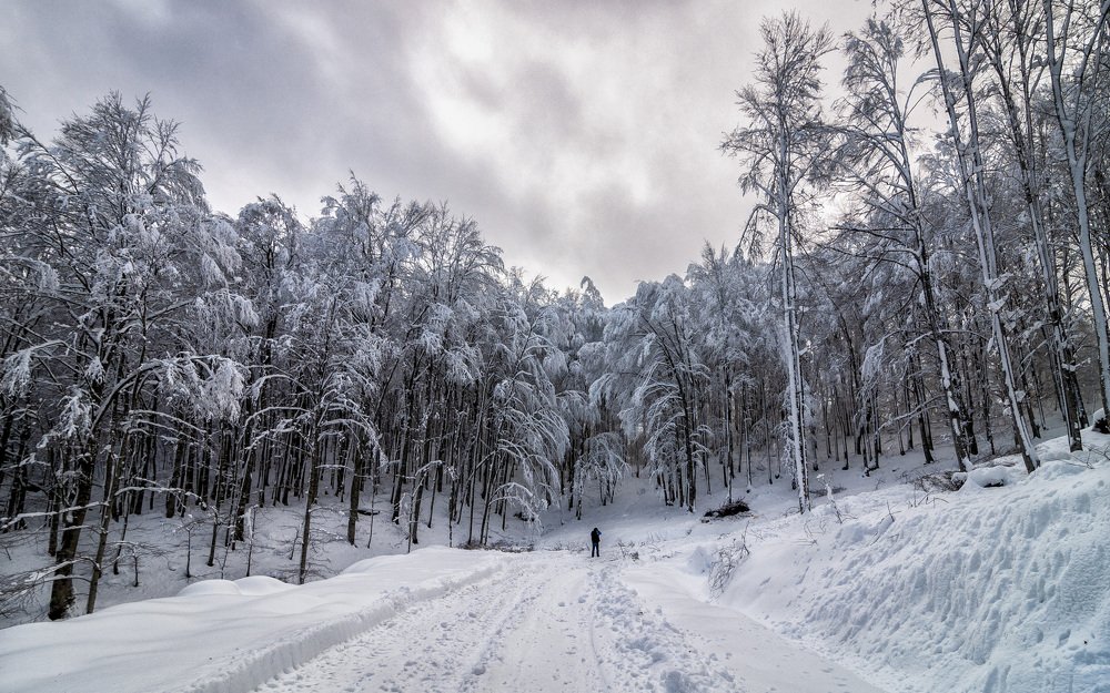 Photograph by Ozlem Ozyun