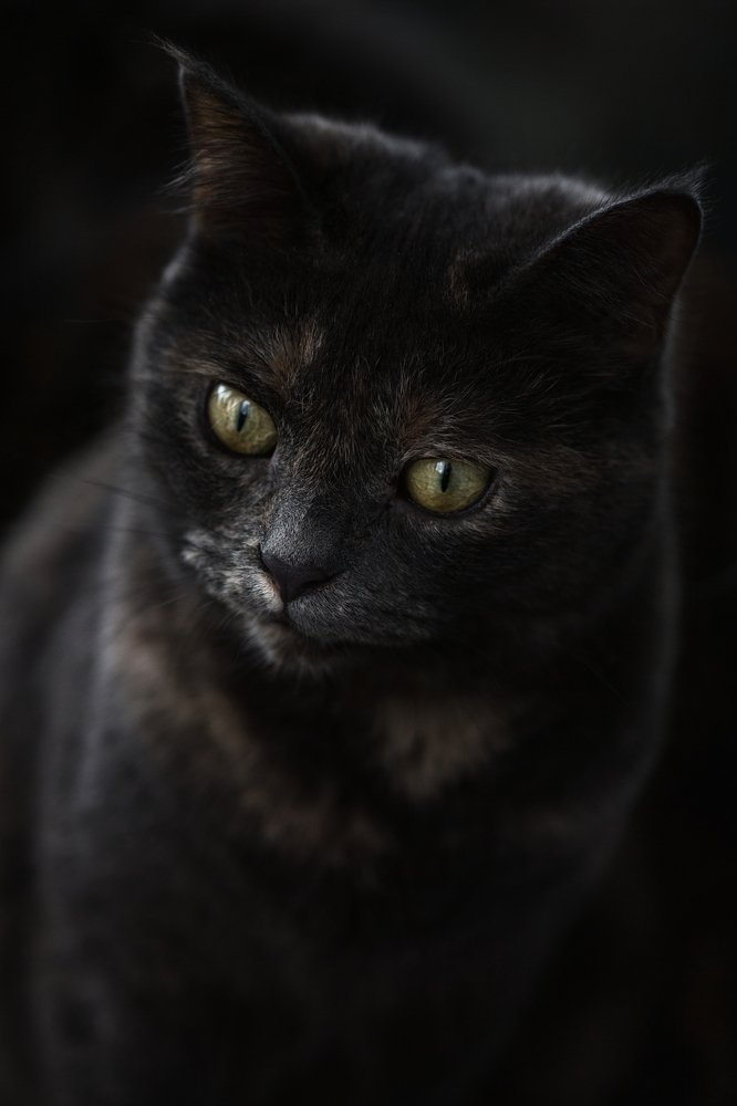 Photograph by Светлана Алексеева