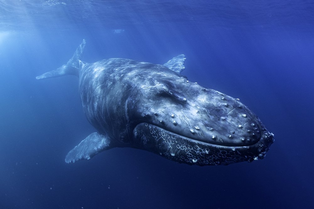 Photograph by Павел Чистяков