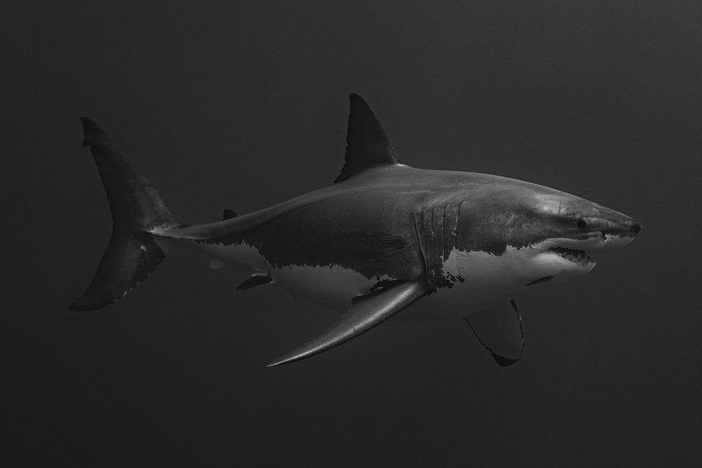 Photograph by Павел Чистяков