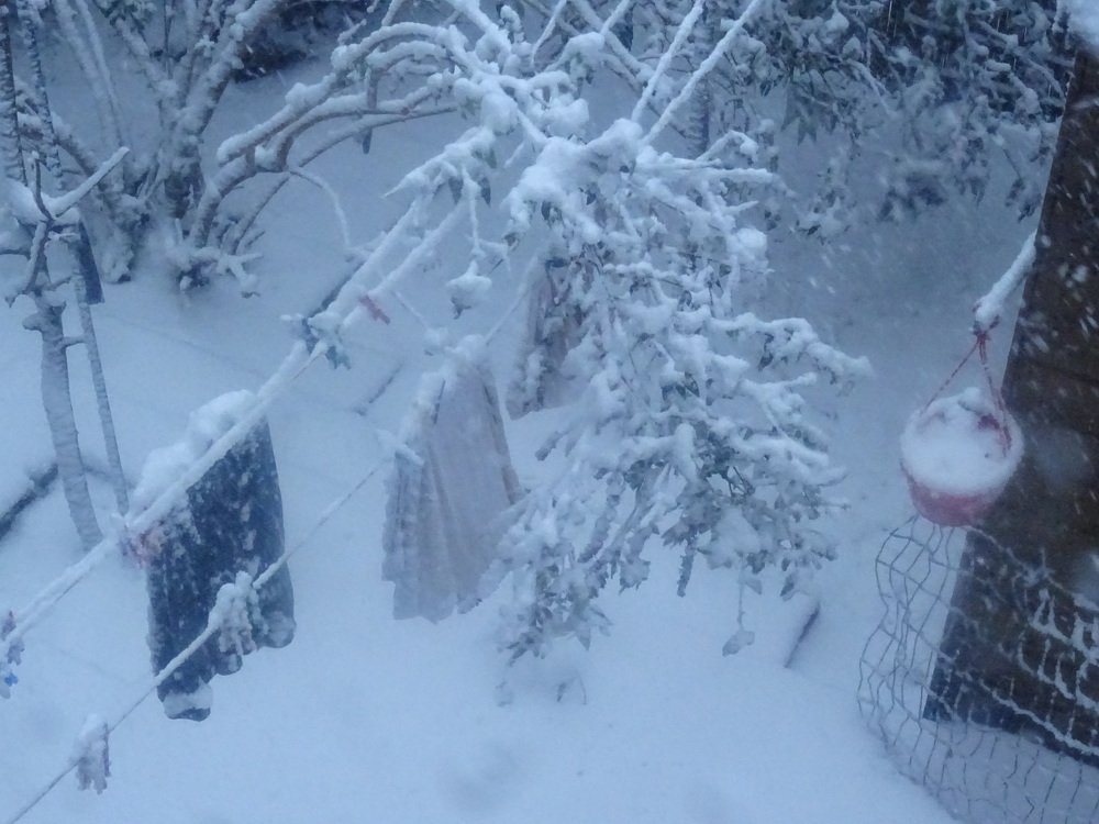 Photograph by Sona Sahakian