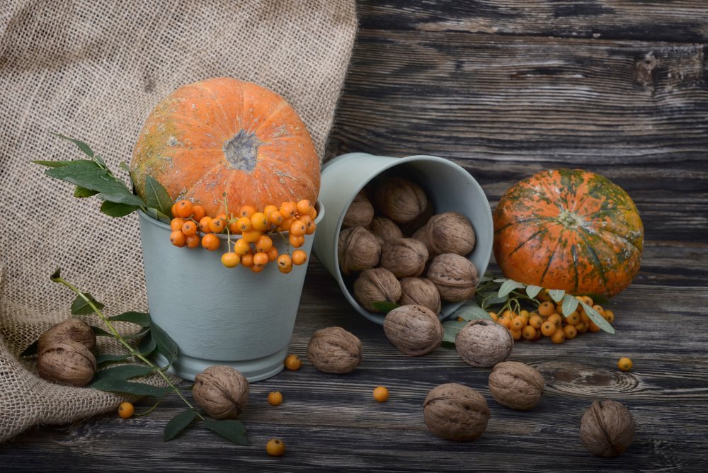 Photograph by Екатерина Терновая