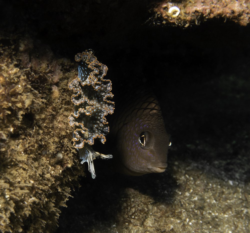 Photograph by Екатерина Чистякова