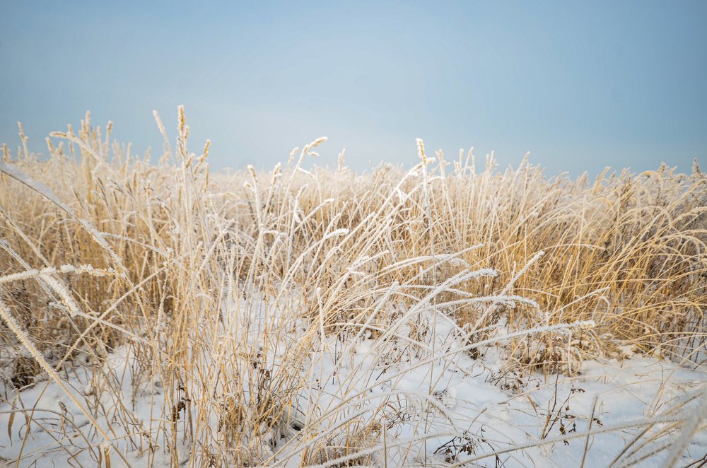 Photograph by Влад Макеев