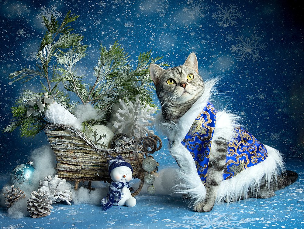 Маркиз - Хранитель Сказок.