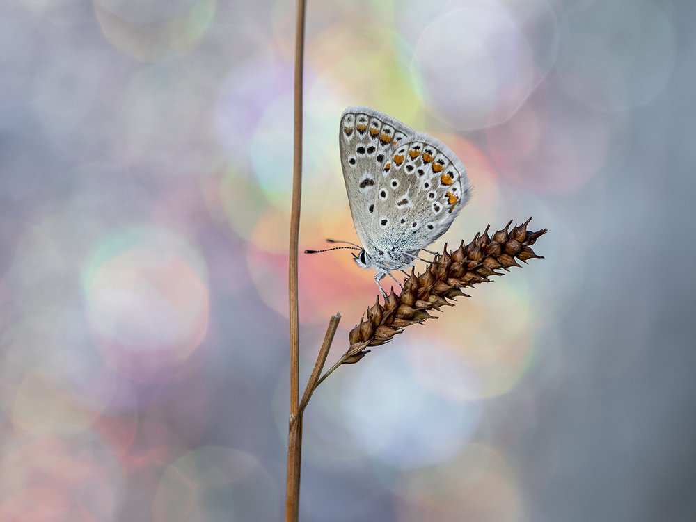 Photograph by ERDEM ARIF YIGIT