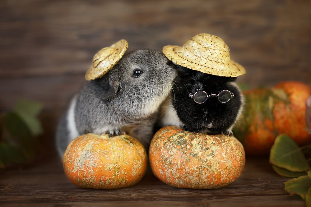 Photograph by Екатерина Терновая