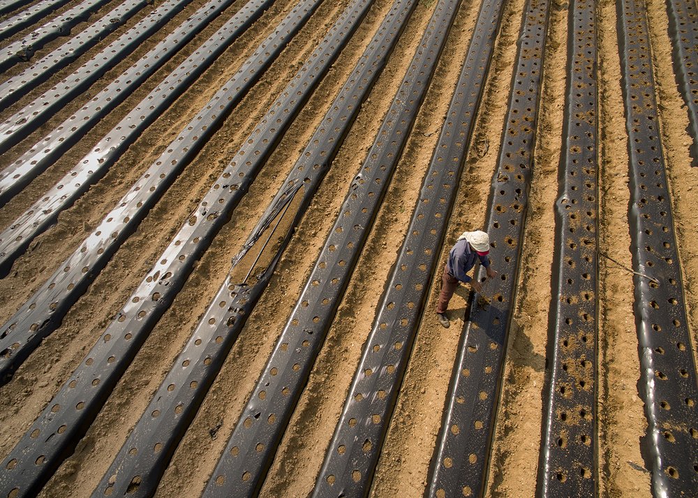 Photograph by ERDEM ARIF YIGIT