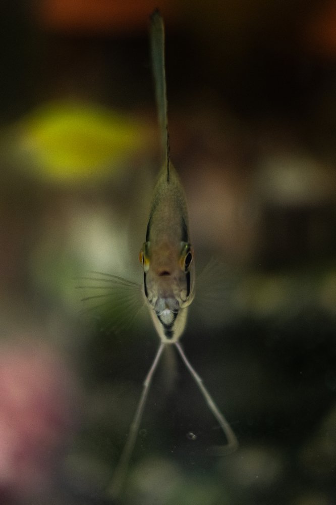 Photograph by Дарья Прусс