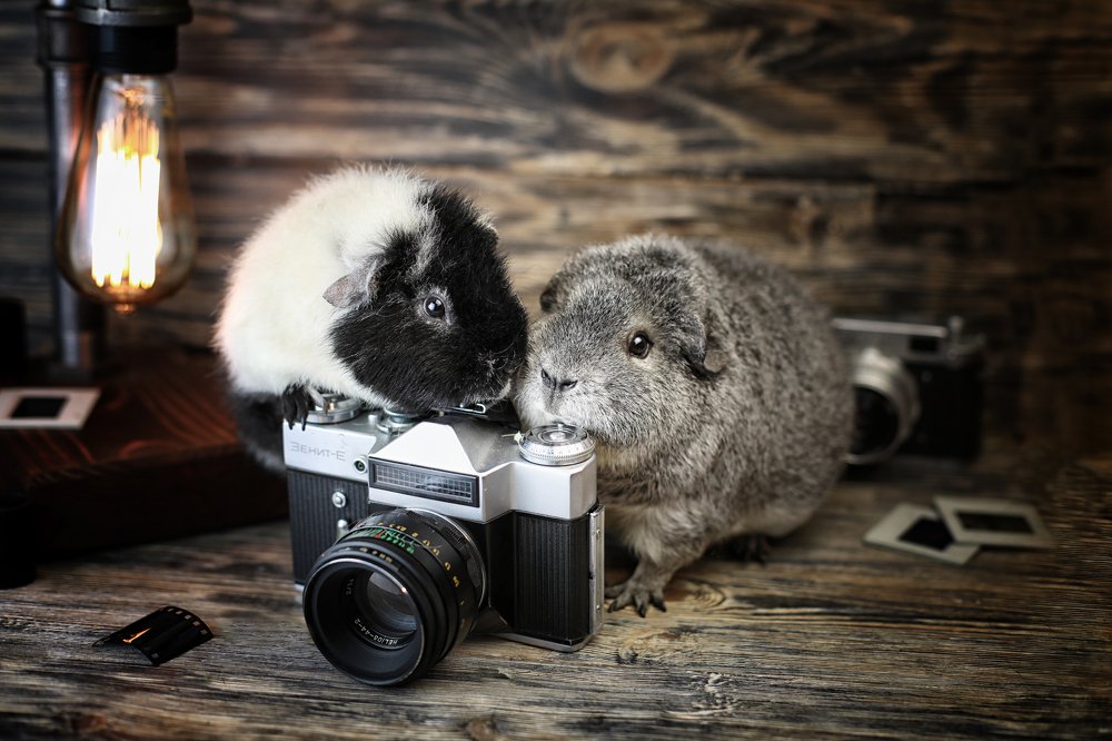 Photograph by Екатерина Терновая