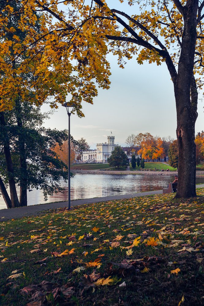 Photograph by Ignas Lazauskas