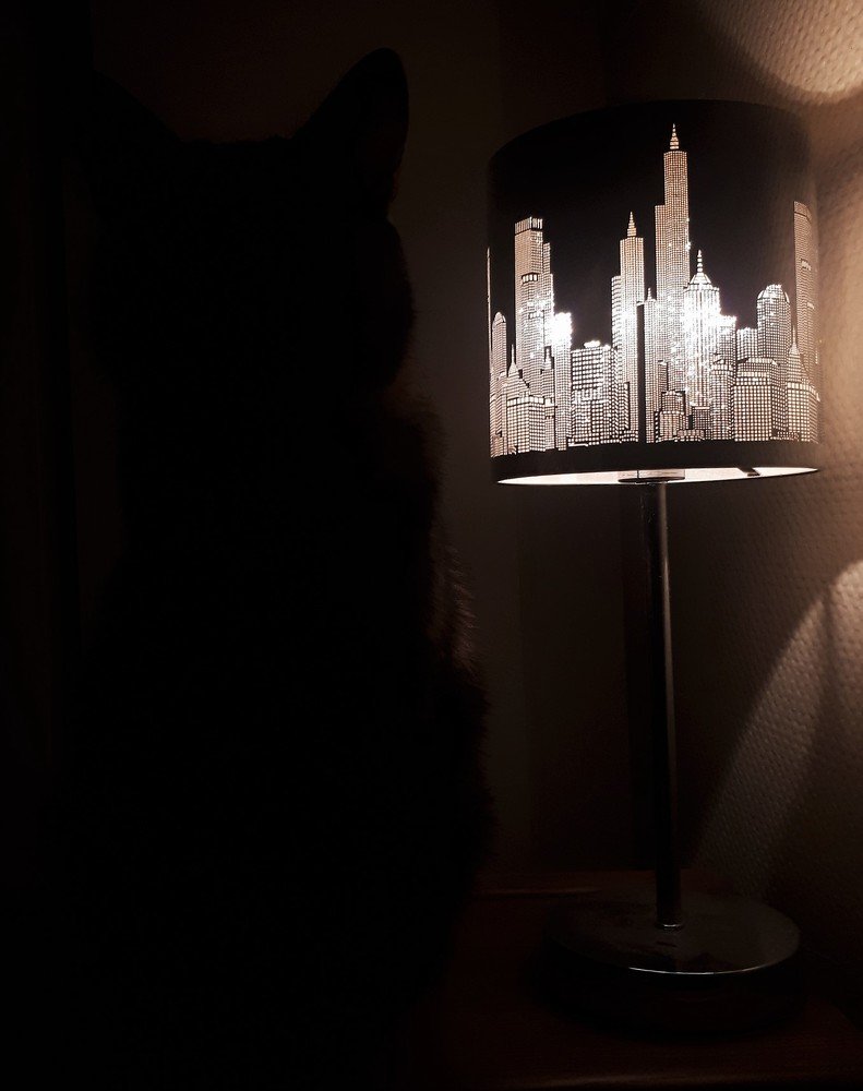 Photograph by Мария