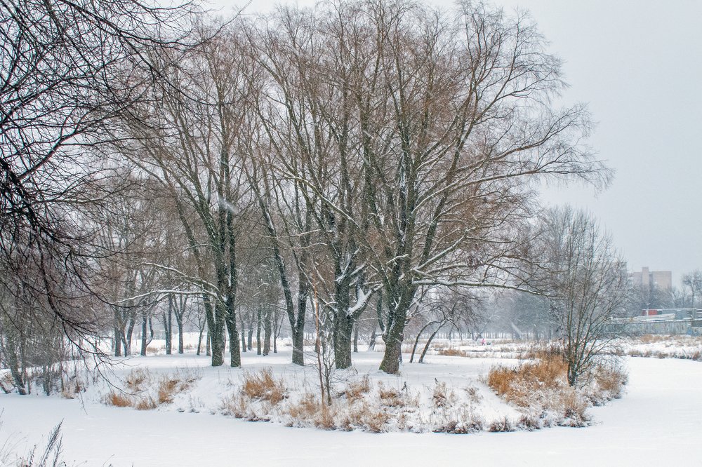 А летом лучше...
