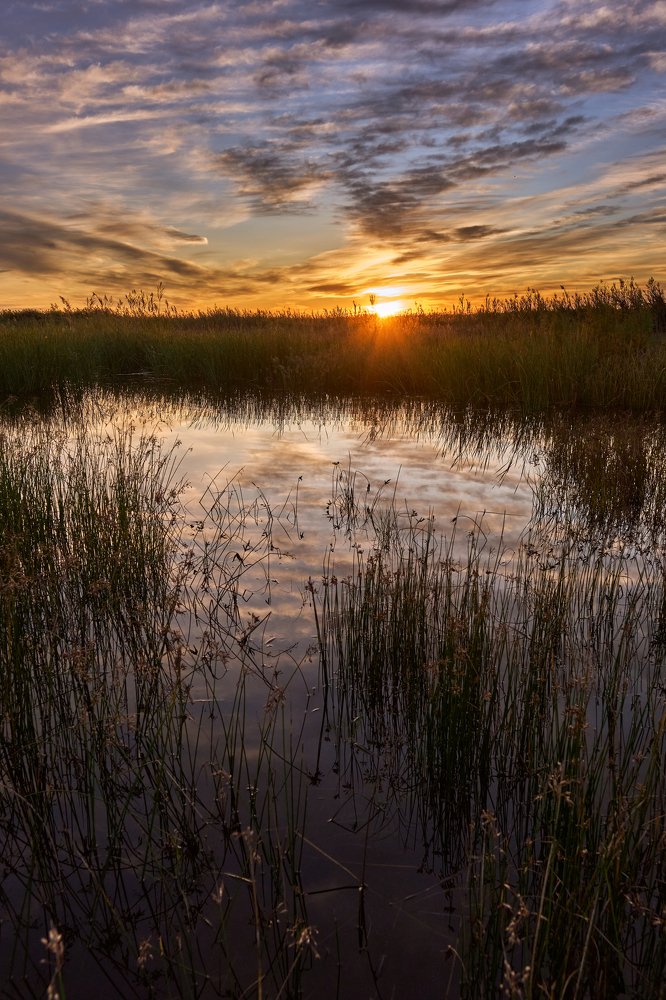 Photograph by Boris Vasilenko