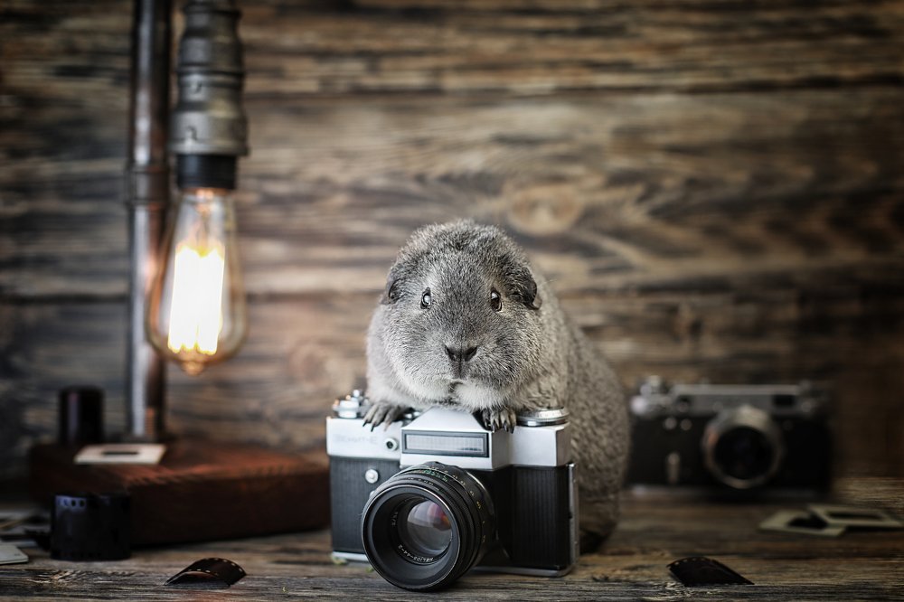 Photograph by Екатерина Терновая