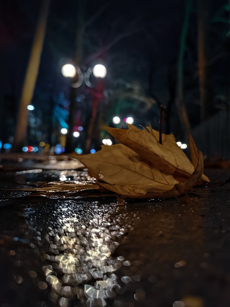 Photograph by Виктория Федосеенко