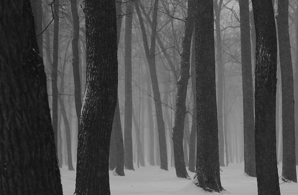 Photograph by Ксения Щербакова