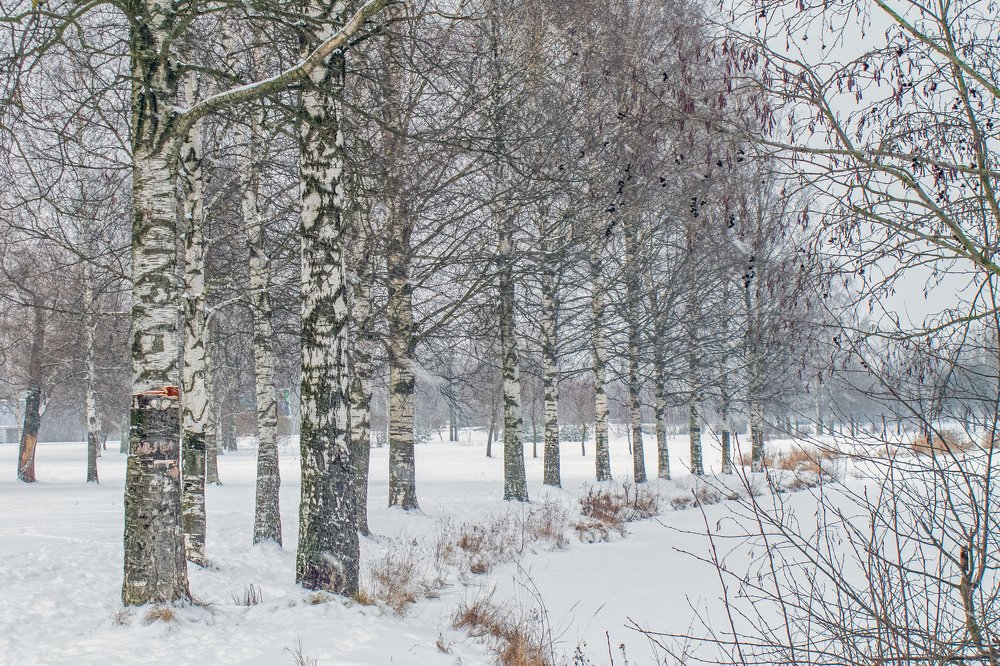 В ожидании лета...