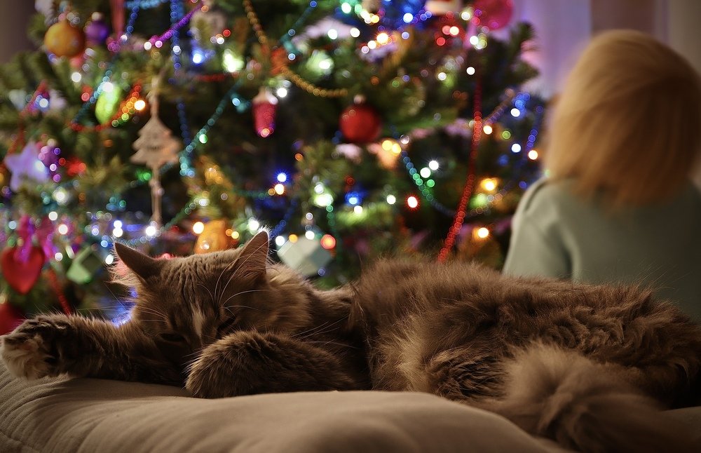 Photograph by Евгения Гудкова