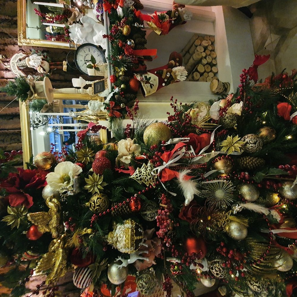 Встречаем новый год.