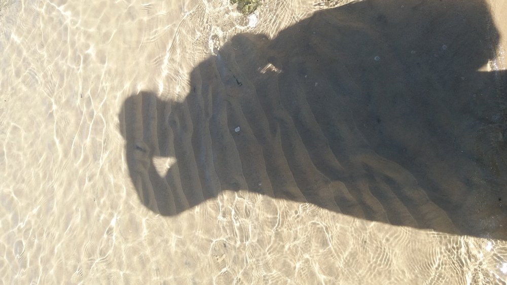 Фотография автора Ася Бабушкина