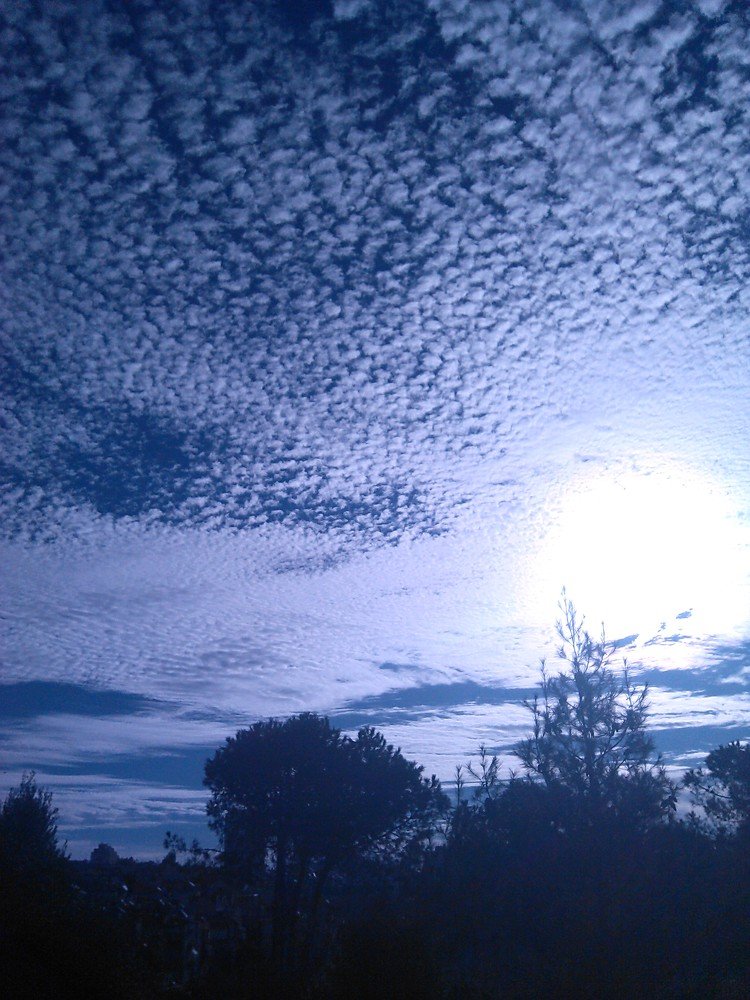 Фотография автора Ася Бабушкина