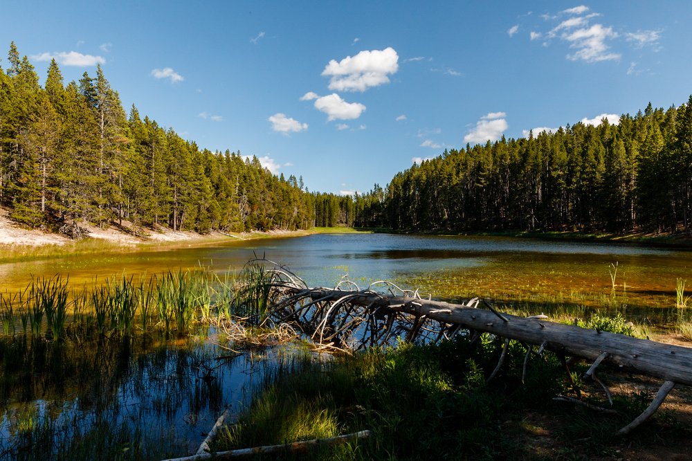 Photograph by Amalya Shandelman