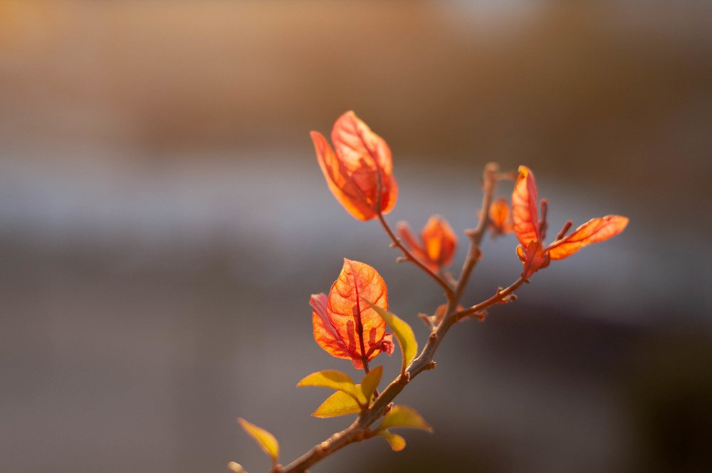 Photograph by Boris Vasilenko