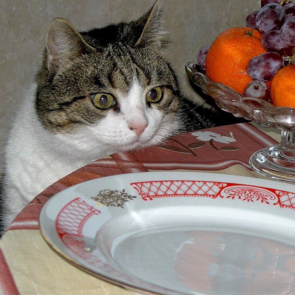 Photograph by Елена Гуляева