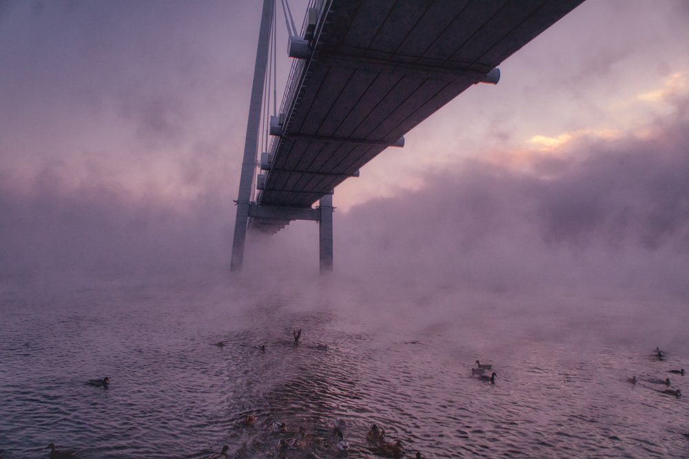 Photograph by Александр Пургин