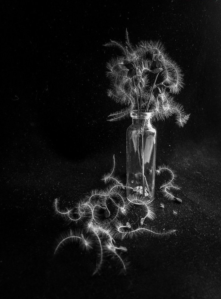 Photograph by Диана Кошелева