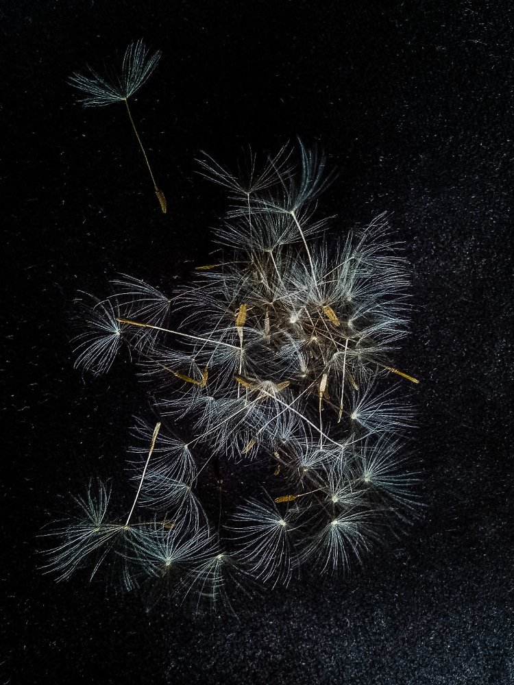 Photograph by Диана Кошелева