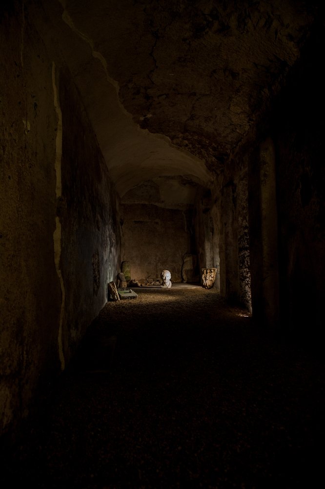 Photograph by Amalya Shandelman