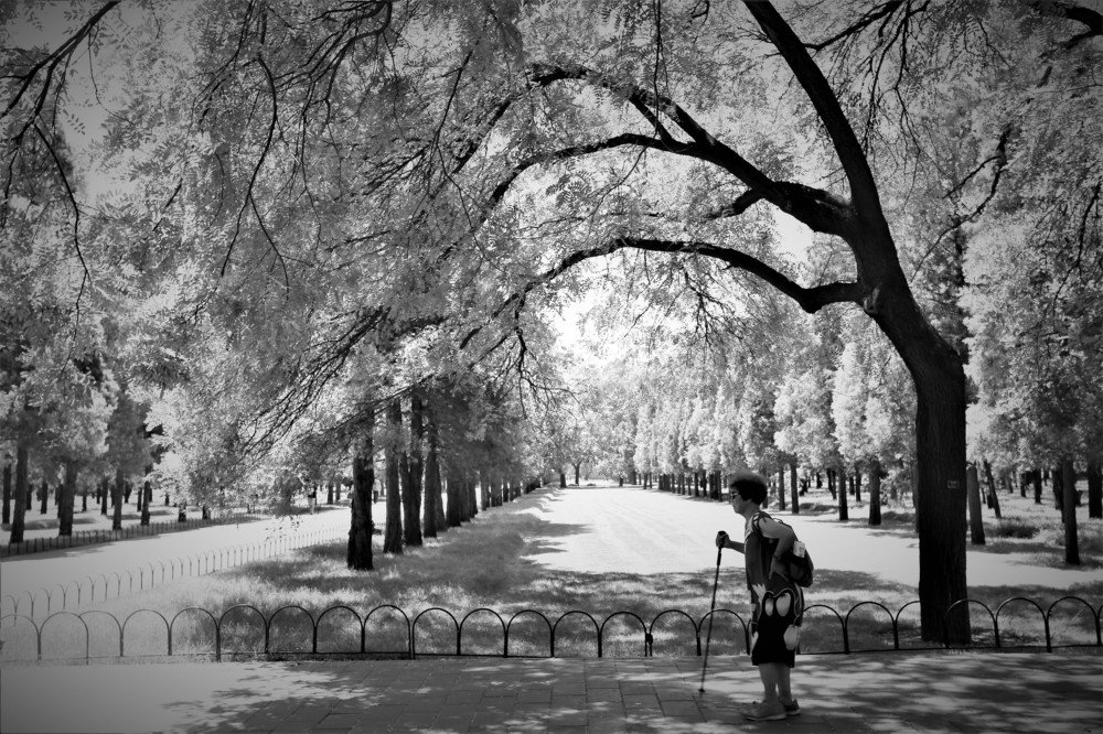 Photograph by Andres Carrasco