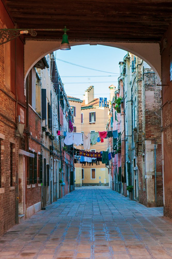 Photograph by Amalya Shandelman