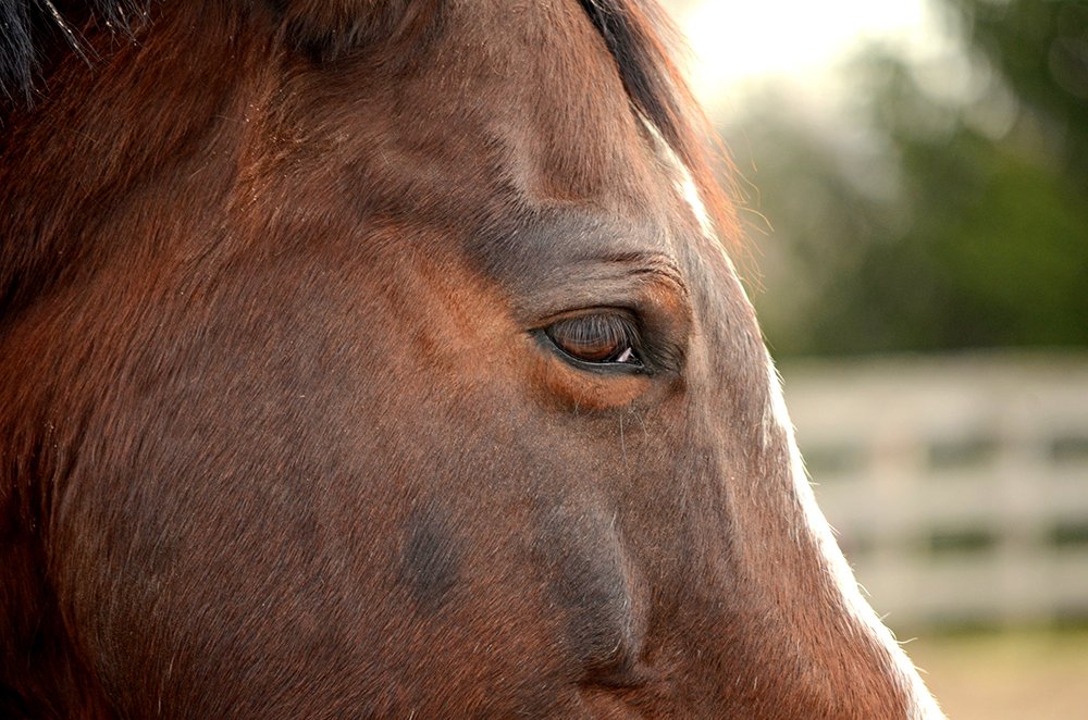 Photograph by Liliana Grup