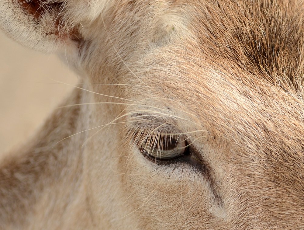 Photograph by Liliana Grup