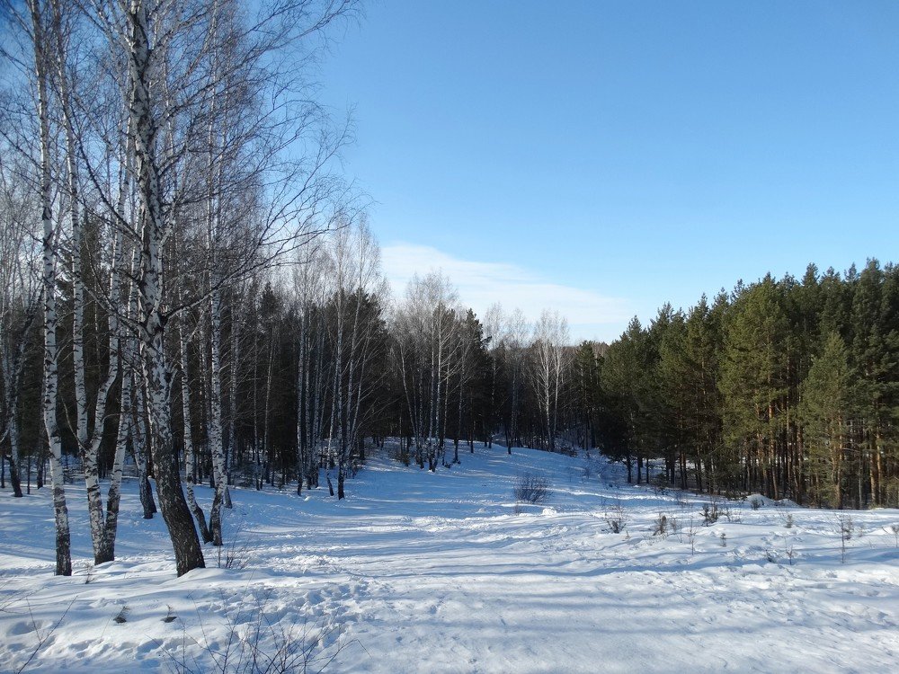 Photograph by Александр Подгорный