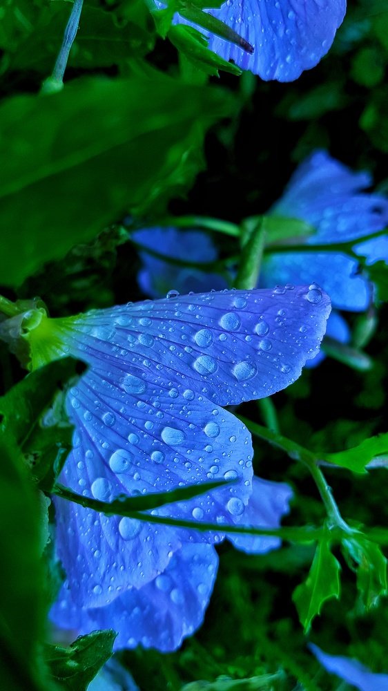 Photograph by Хачик Аджатян