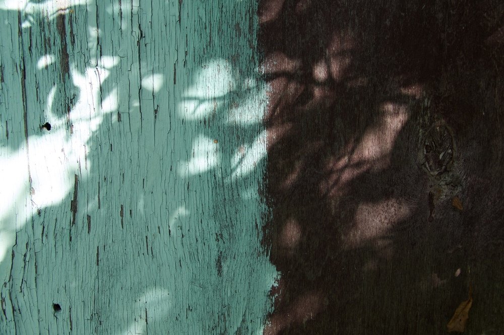 Photograph by Anastasia Perez