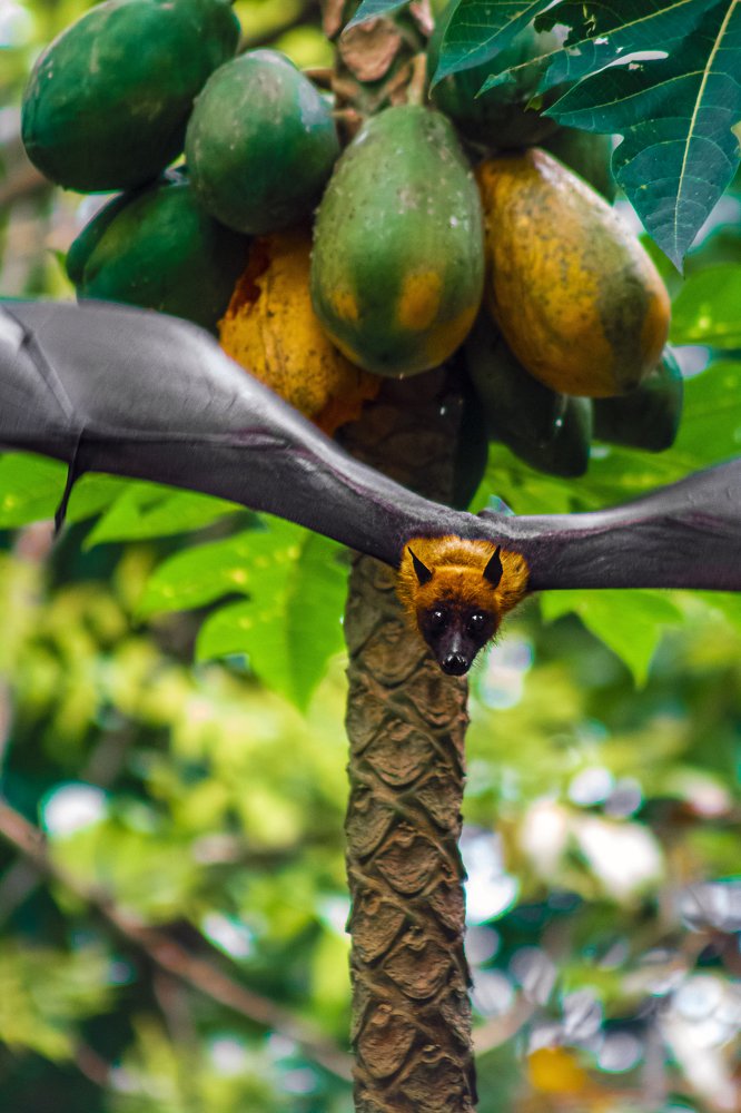 Photograph by SUJITH VARGHESE