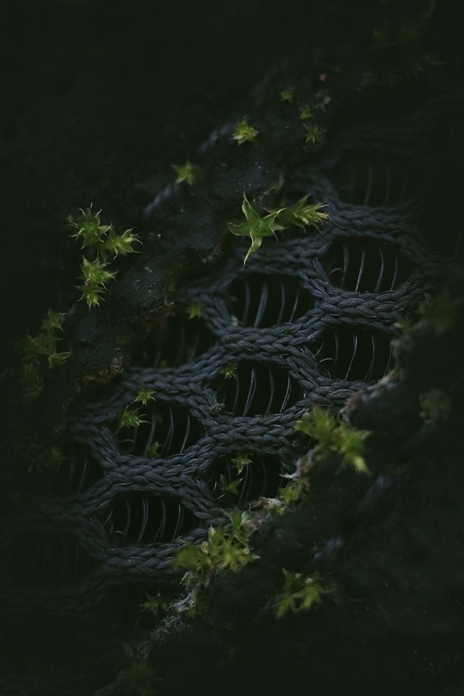 Photograph by Фролова Евгения