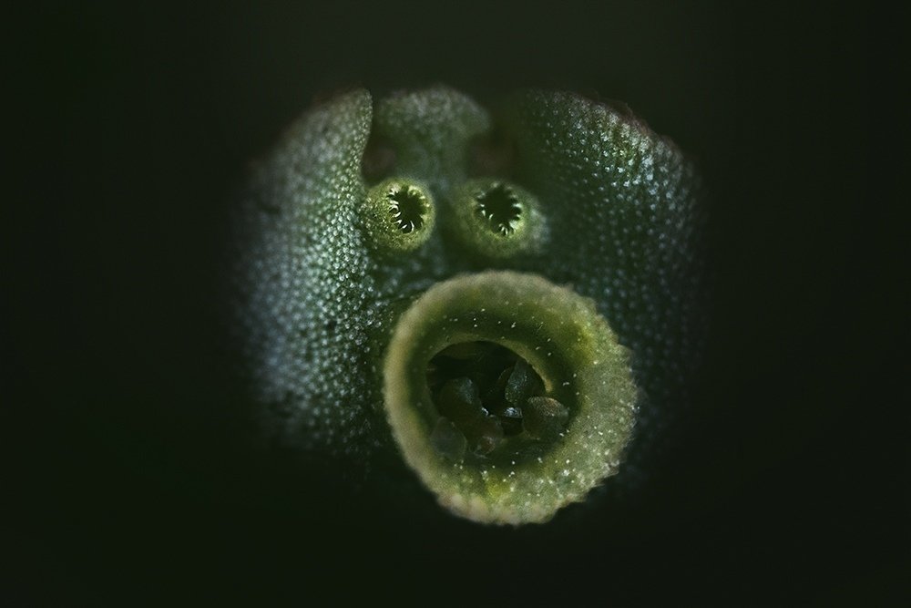 Photograph by Фролова Евгения