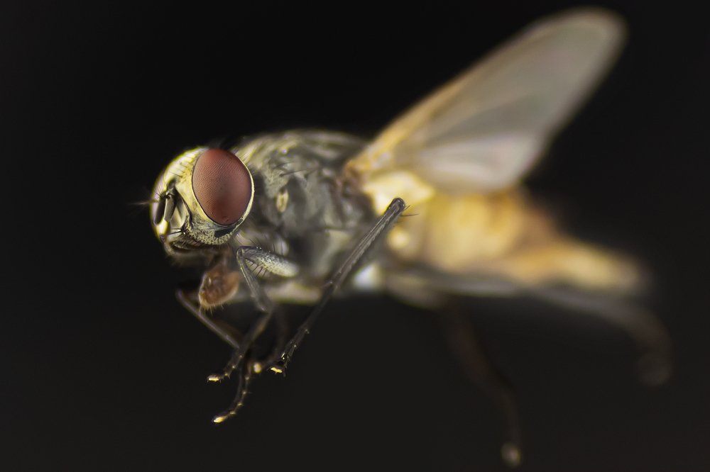 Photograph by Reza Harahap